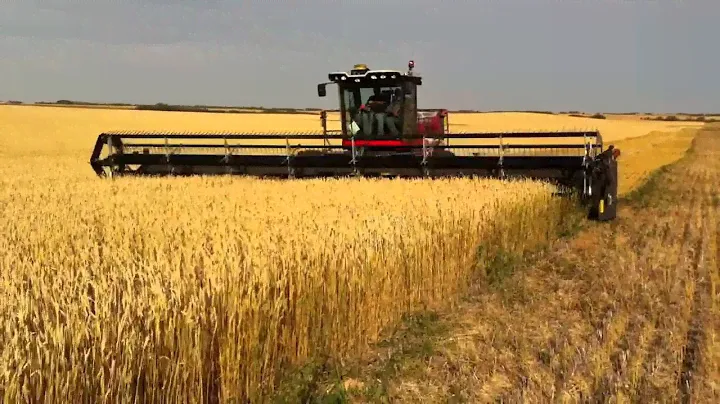 Massey ferguson WR9740 36 foot swather