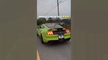MUSCLE CARS IN 2023