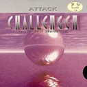 CHALLENGER ATTACK